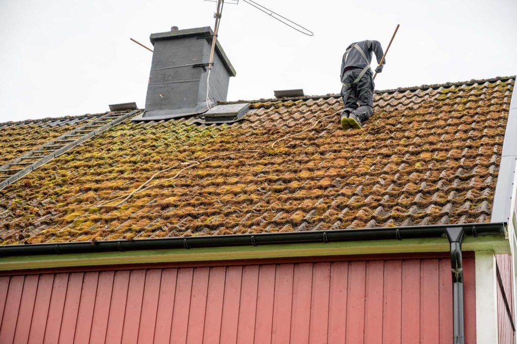 Roof moss removal Roof moss removal services Nottinghamshire